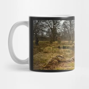 Dunham Massey - A dead tree Mug